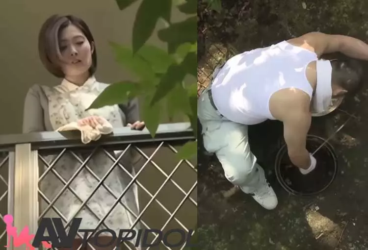 หนังเอวี-ช่างแอบเย็ด